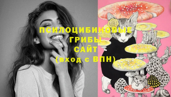каннабис Бородино