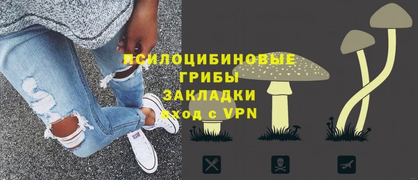 ГАЛЛЮЦИНОГЕННЫЕ ГРИБЫ Бугульма