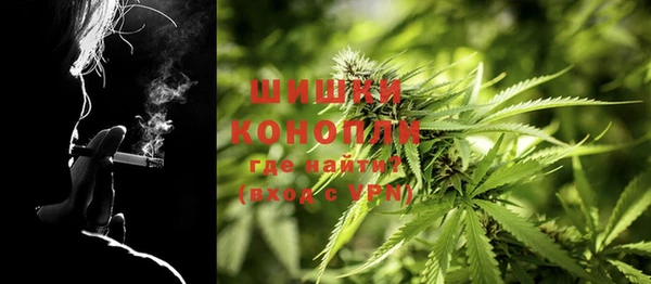 ГАЛЛЮЦИНОГЕННЫЕ ГРИБЫ Бугульма