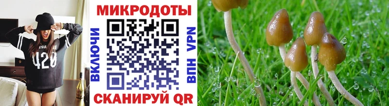 Купить  Гулькевичи  Псилоцибиновые грибы мухоморы 